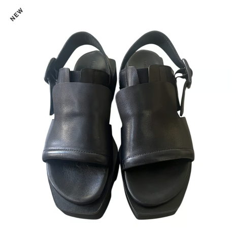ph7+】P2F0001 BK | ph7+
